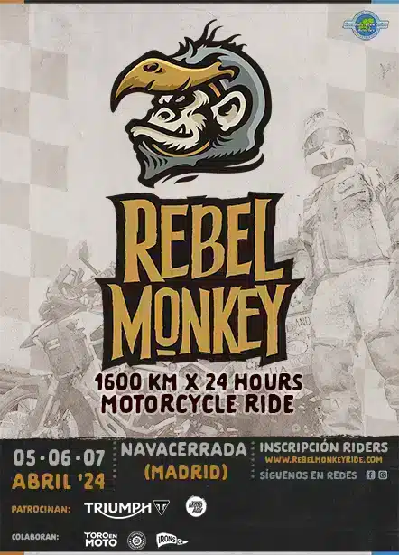 rebel-monkey-evento